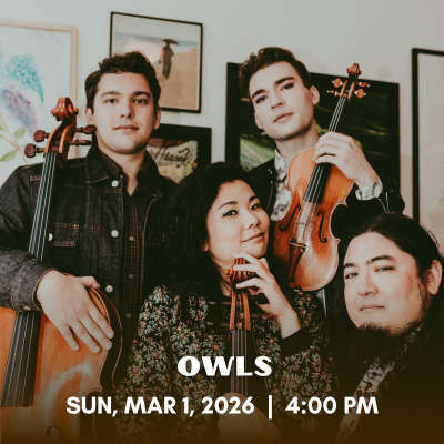 The Owls String Quartet